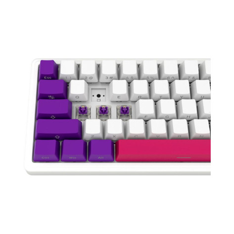 Механична клавиатура Lorgar - KBP70MW Mini, безжична, Linear, RGB, бяла/лилава