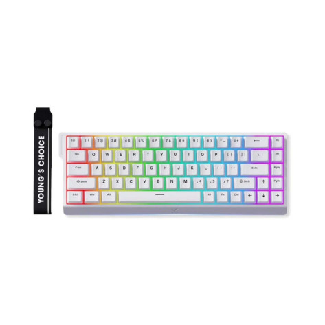 Механична клавиатура MCHOSE - Ace 68, Ice Blue Magnetic Switch, RGB, бяла
