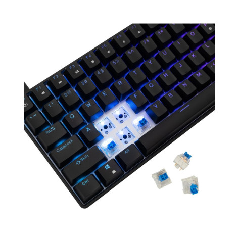 Механична клавиатура White Shark - Hamachi, 75%, YUSYA Blue Switches, RGB, черна