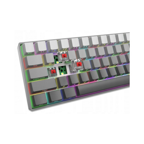 Механична клавиатура White Shark - Nunchaku, Red Switches, RGB, сива