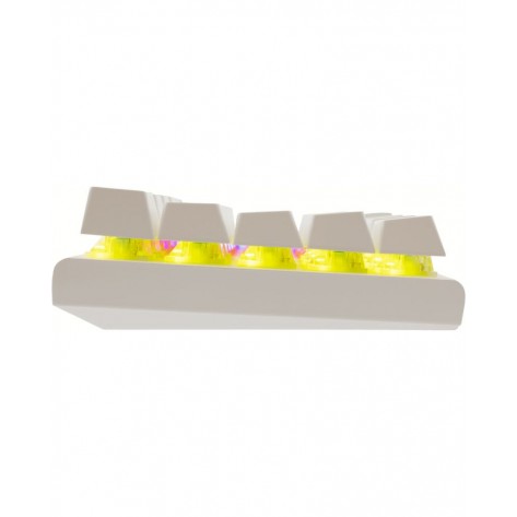 Механична клавиатура White Shark - WAKIZASHI-2 White, Blue Sw., бяла