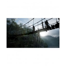 hover image
