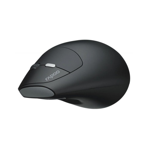 Мишка Rapoo - EV250, оптична, безжична, черна/сребриста