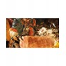 Игра Monster Hunter Wilds за PlayStation 5