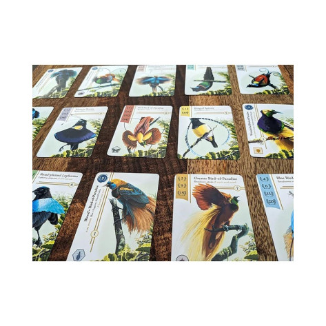 Настолна игра Birdwatcher - Семейна