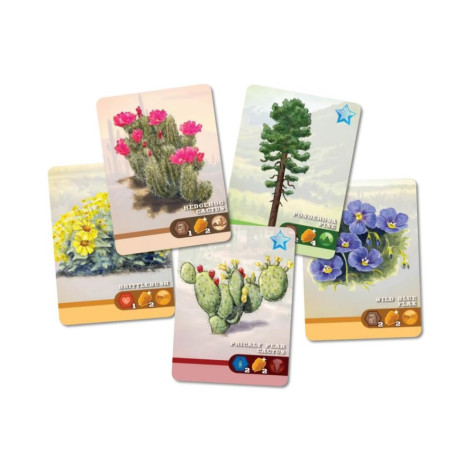 Настолна игра Trailblazer: The Arizona Trail - Стратегическа