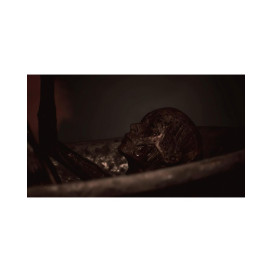 hover image