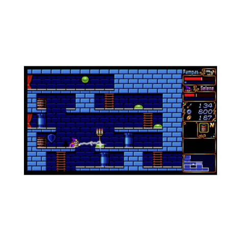 Игра Pampas & Selene - Collector Edition за PlayStation 5