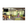 Игра Path of Mystery: A Brush with Death за Nintendo Switch