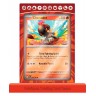 Pokemon TCG: Armarouge Ex Premium Collection