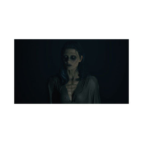 Игра Portrait of a Torn - Deluxe Edition за PlayStation 5