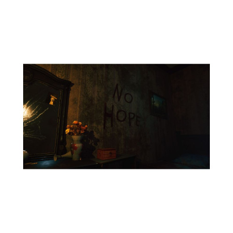 Игра Portrait of a Torn - Deluxe Edition за PlayStation 5