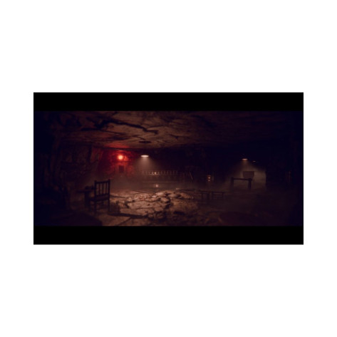 Игра Project Songbird за PlayStation 5