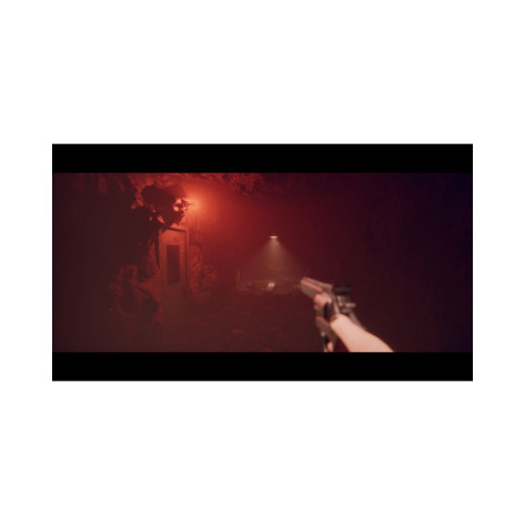 Игра Project Songbird за PlayStation 5