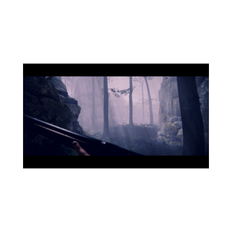 Игра Project Songbird за PlayStation 5