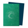 Протектори за карти Dragon Shield - Matte Dual Art Sleeves Standard Size, MTG Guildpact Series: Simic Combine (100 бр.)