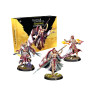 Разширение за настолна игра Eldfall Chronicles: Northern Wind - Reinforcements Pack: Sunspear