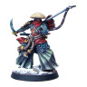 Разширение за настолна игра Eldfall Chronicles: Northern Wind - Reinforcements Pack: Wayfarers