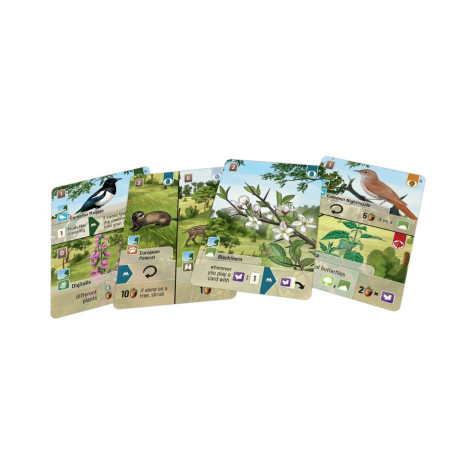 Разширение за настолна игра Forest Shuffle: Woodland Edge
