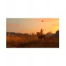Игра Red Dead Redemption - Код в кутия за Nintendo Switch