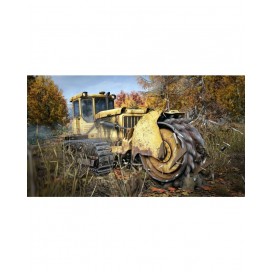 hover image