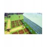 Игра Rune Factory: Guardians of Azuma за Nintendo Switch