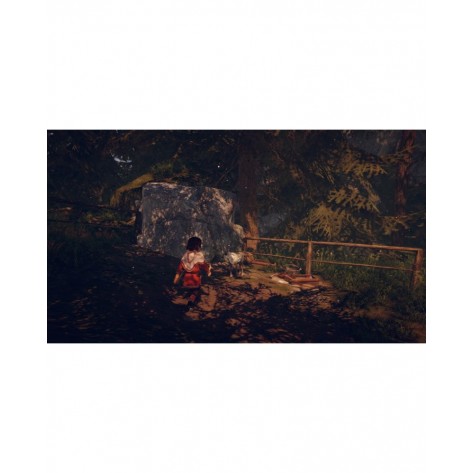 Игра Skabma: Snowfall за Nintendo Switch