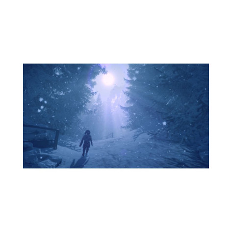 Игра Skabma: Snowfall за PlayStation 5