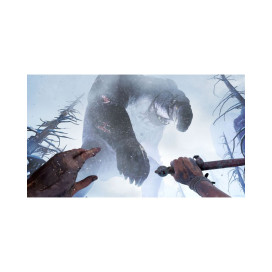 hover image
