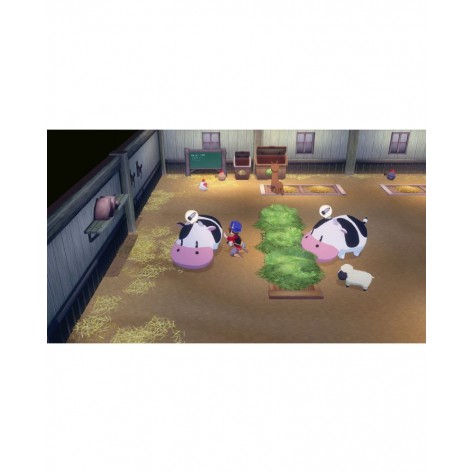Игра STORY OF SEASONS: Grand Bazaar за Nintendo Switch