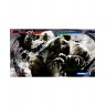 Игра Street Fighter 6: Years 1-2 Fighters Edition (Nintendo Switch 2)