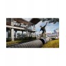 Игра Tony Hawk's Pro Skater 3 + 4 за PlayStation 4