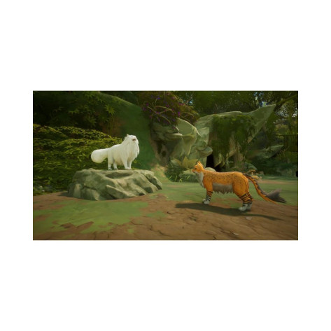 Игра Warrior Cats: Clans of the Forest - Feral Edition за PlayStation 5