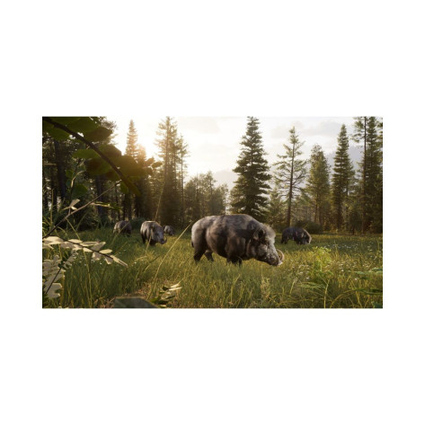 Игра Way of the Hunter 2 за Компютър