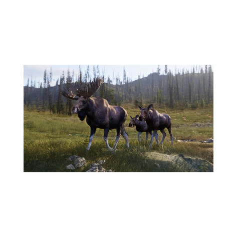 Игра Way of the Hunter 2 за PlayStation 5