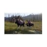 Игра Way of the Hunter 2 за PlayStation 5