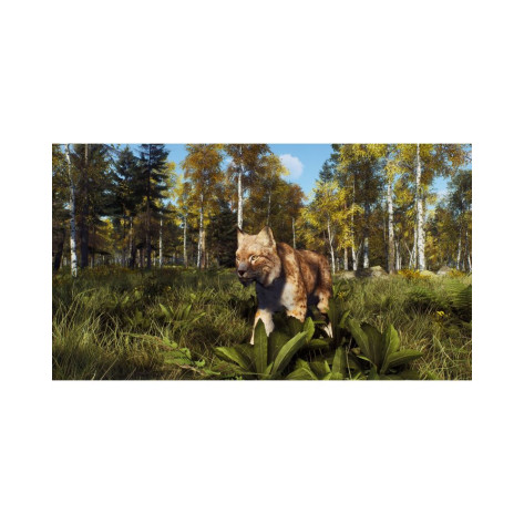Игра Way of the Hunter: Wild Expeditions за PlayStation 5