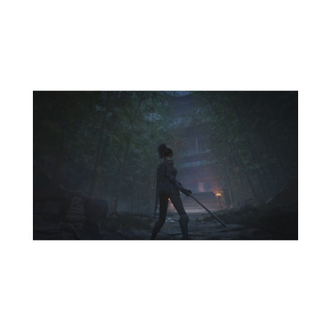 Игра Wuchang: Fallen Feathers - Standard Edition за PlayStation 5