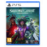 Игра Shadow Gambit: The Cursed Crew - Complete Edition за PlayStation 5