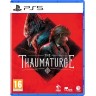 Игра The Thaumaturge за PlayStation 5